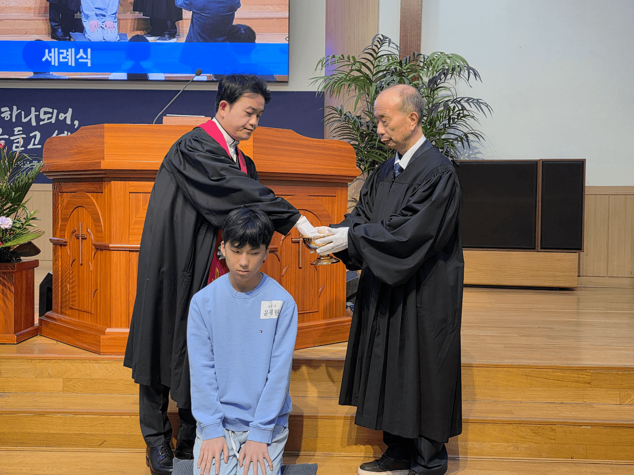 사진 3