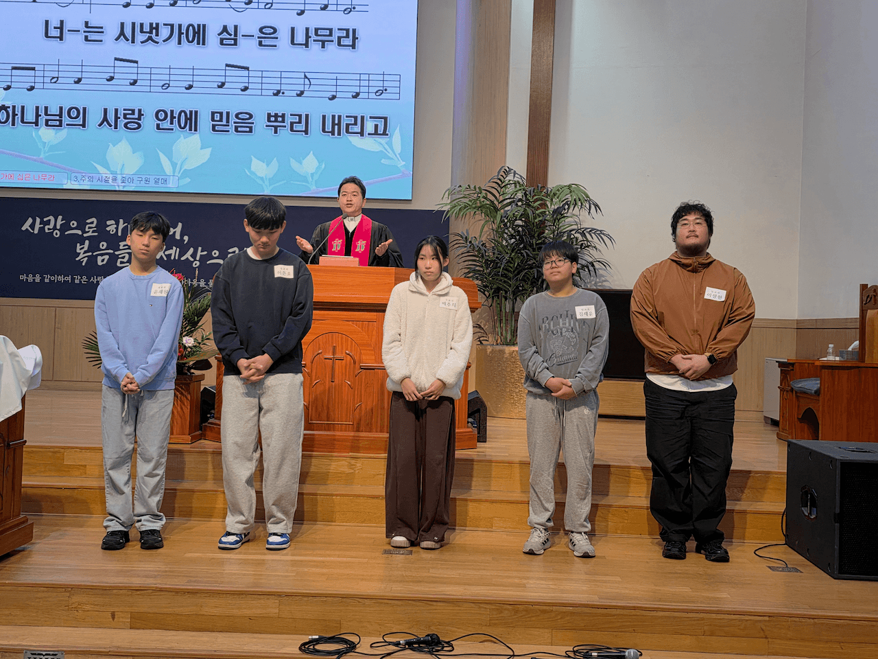 사진 11