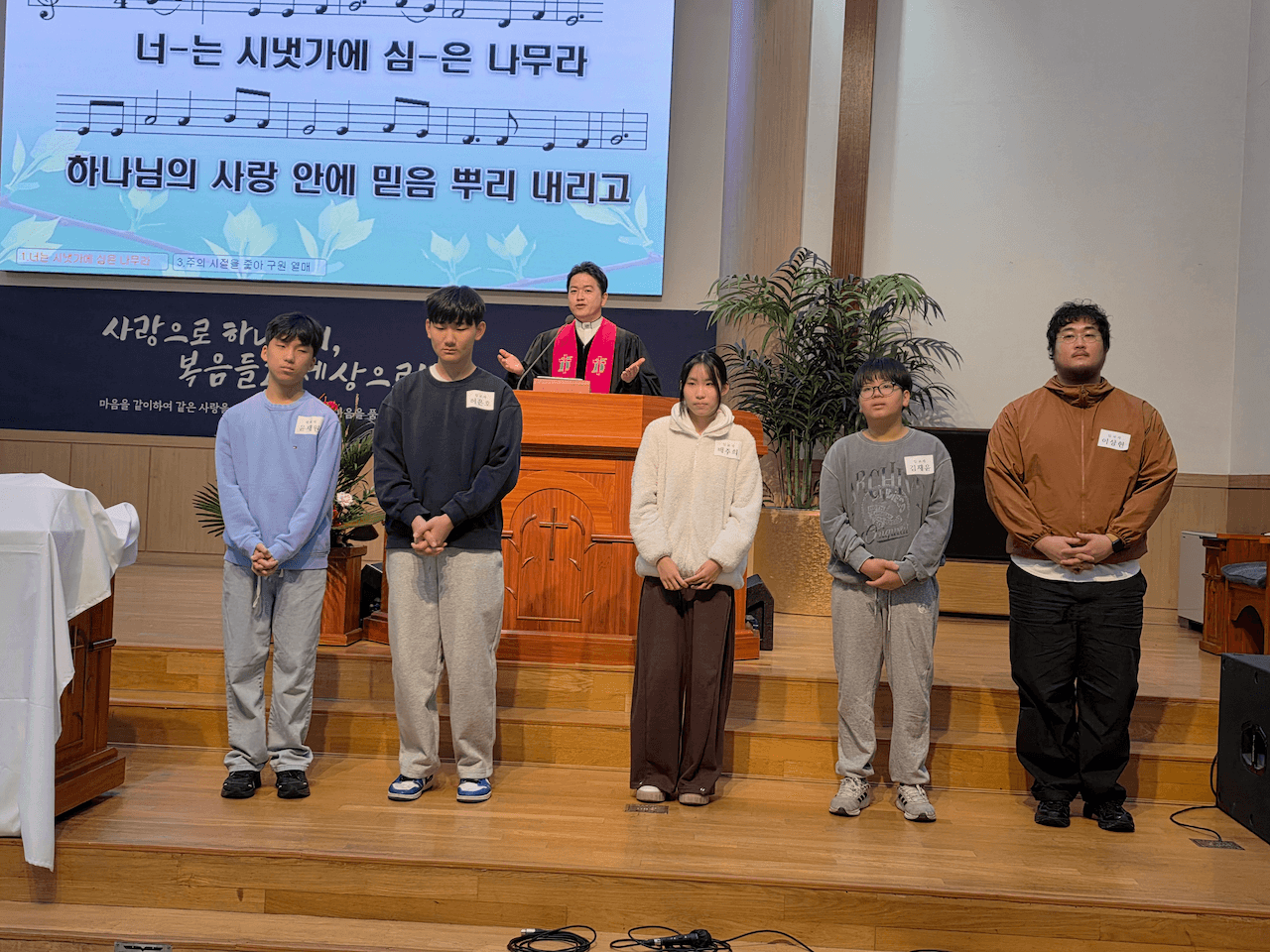 사진 12